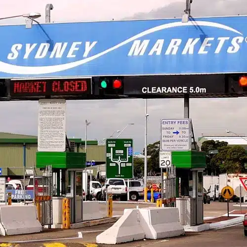 Sydney Markets Flemington near Homebush